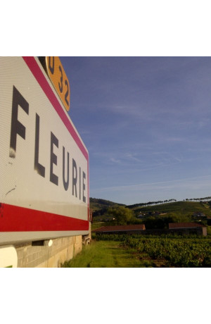 Fleurie 2011 Château de Fleurie