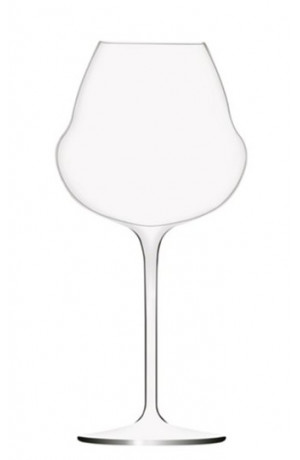 Vacu Vin 08542606 Wine Saver Pompe à Vide avec Bouchon Acier Inoxydable  Blanc 18 x 12 x 12 cm : : Cuisine et Maison